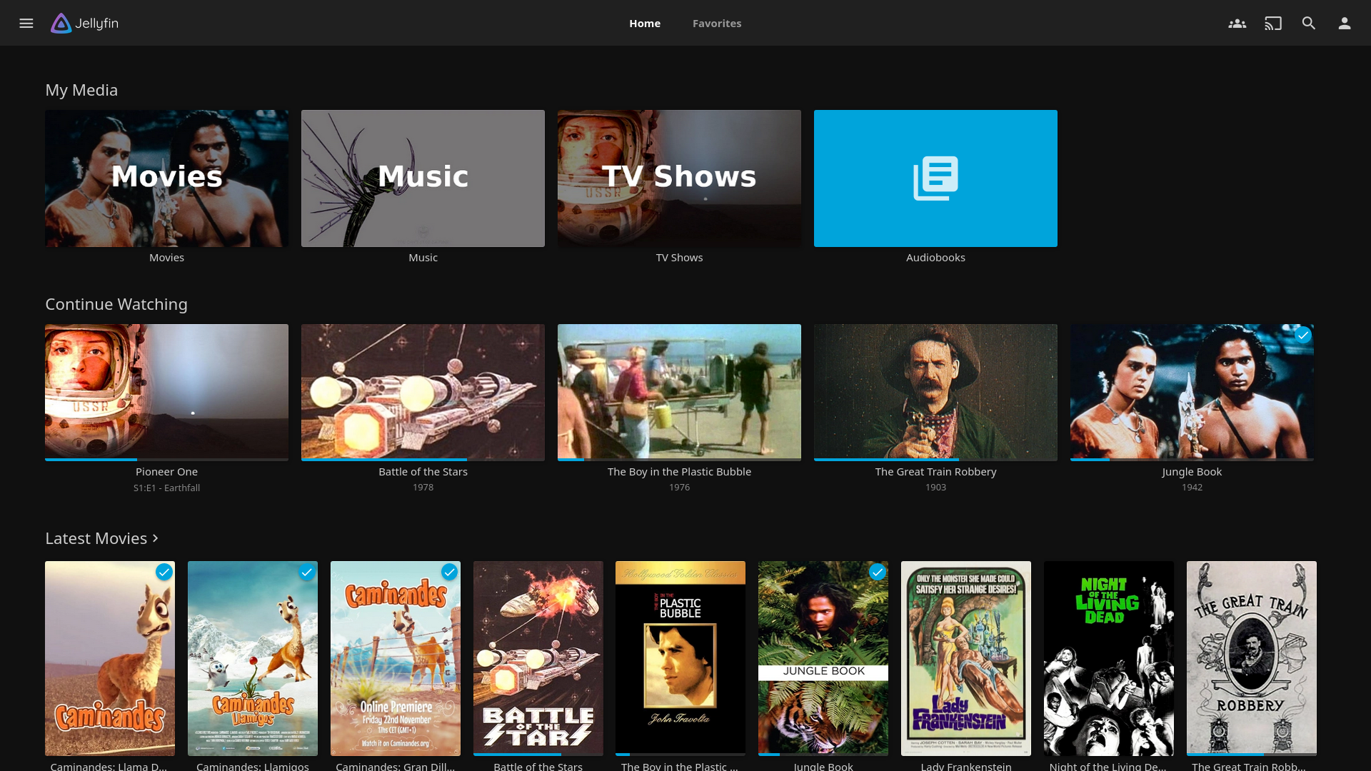 Interface Jellyfin