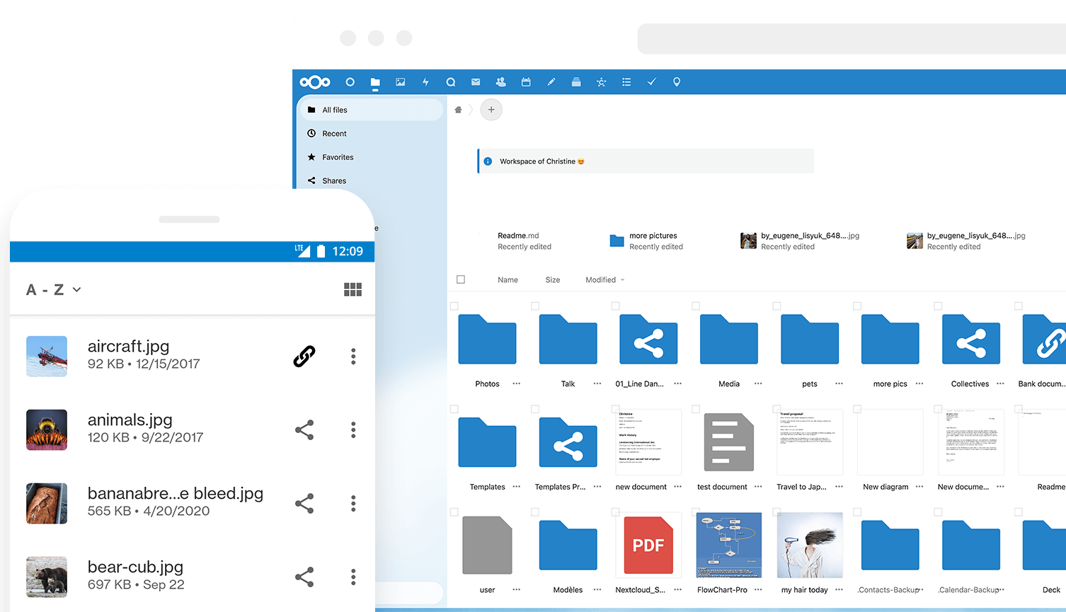 Nextcloud Hub Files Preview